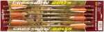 Arrow Bolts 20" 100 Grains Tip Carbon 6Pk (40)